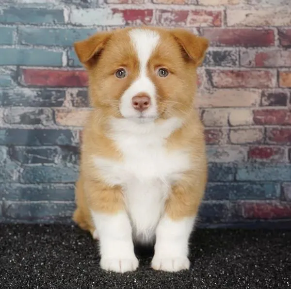 2897495a9c8f8c7-3ac3-40f8-8bbf-e5b34f00c73eAirBrush_20260428201555.jpg image