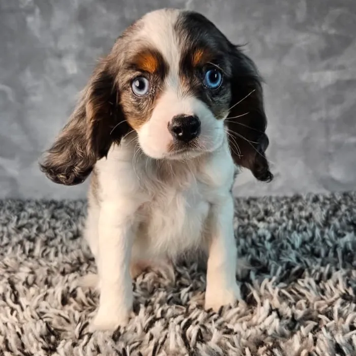 image_cropper_A78AA7FA-683A-49AE-946D-482709F31C07-9711-00000156CD3755E7.jpg